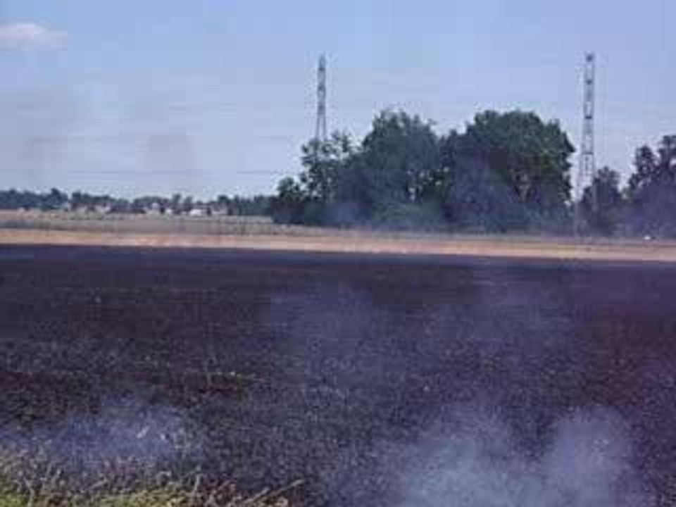 IMGP0720