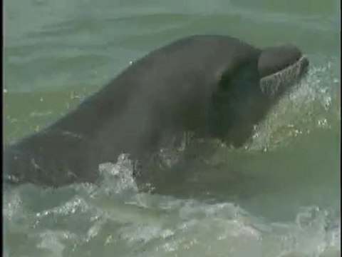 Au coeur des océans Équinoxes, marées et tempêtes 3