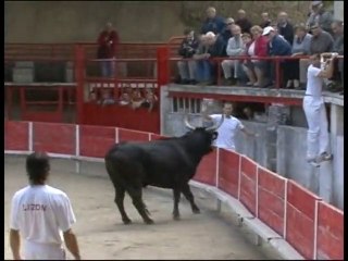 Noir et Blanc du mardi 26 octobre 2010