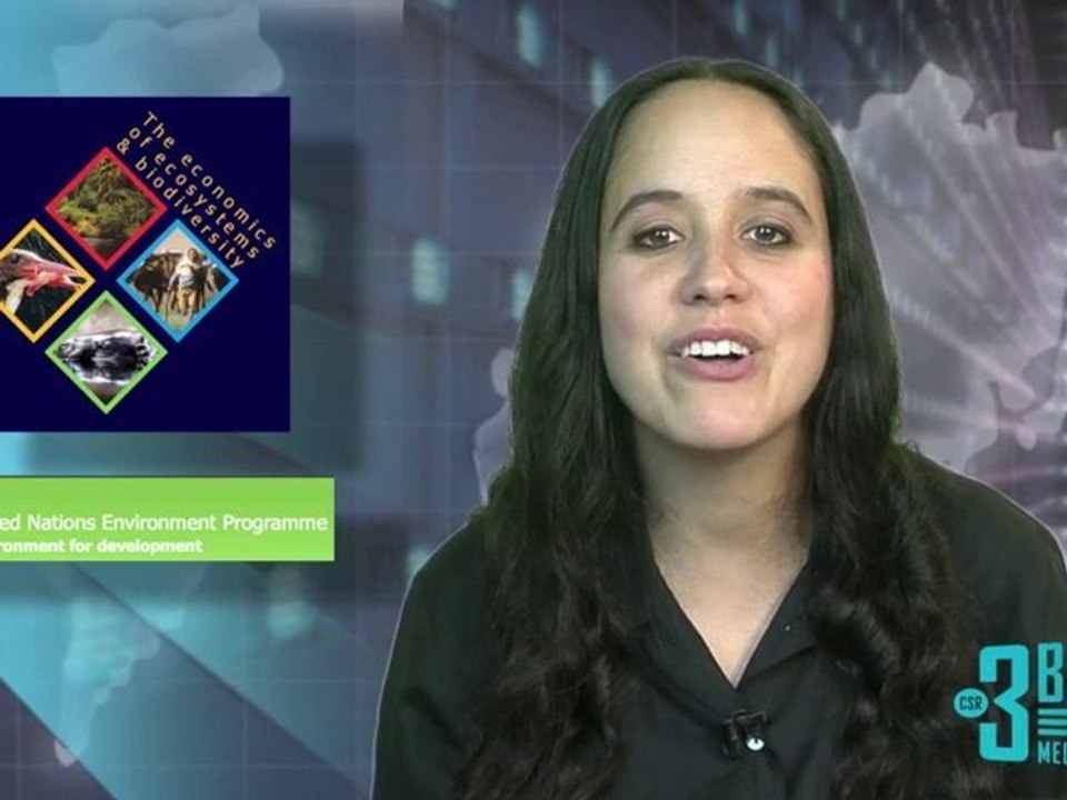 CSRminute: The Natural Step's Case Study on Hamburger Chain