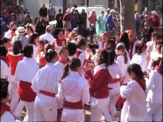 Carnaval de VIAS 2009