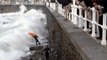 Surf & Bodyboard Accidents in Gijón - Spain