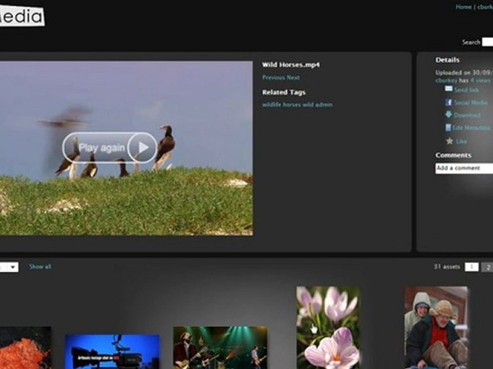 EnterMedia VideoStorm Video Sharing Software