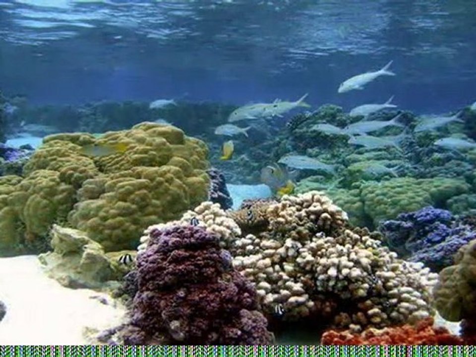 Pension Au Phil Du Temps - Tahaa - Polynésie française