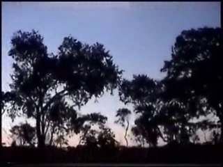 Viaje a las Cataratas Victoria y Eclipse solar 2001