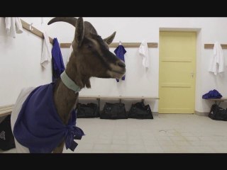 On Lâche Rien : le bilan !