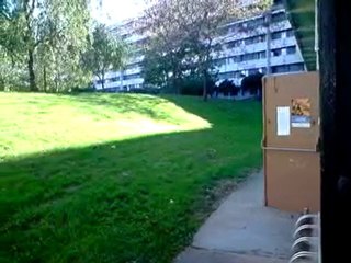 Rénovation salle de sport Agora