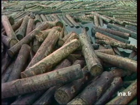 JA2 20H : EMISSION DU 30 DECEMBRE 1982