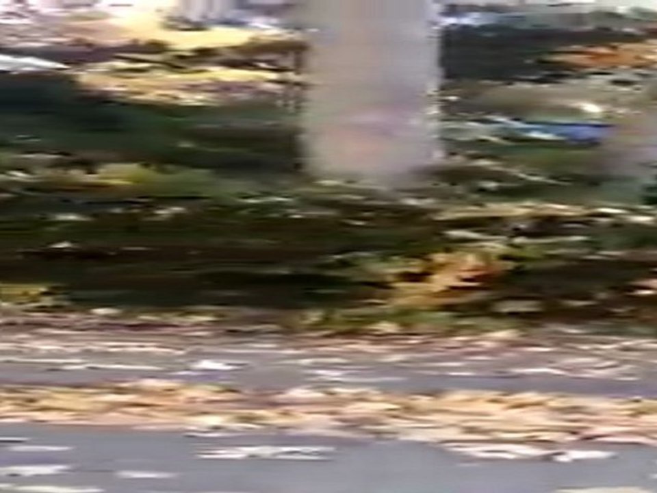 abi-2010-10-27-09-43-51