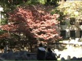 Granary Burying Ground