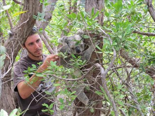 Australian Roadtrip 2010