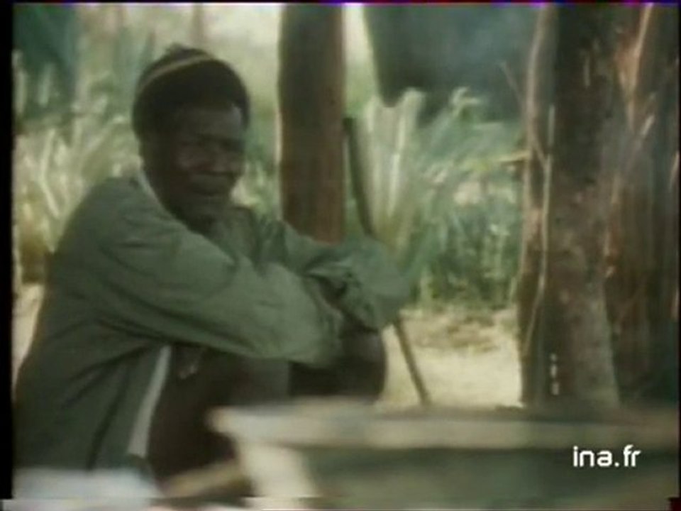 JA2 20H : EMISSION DU 3 FEVRIER 1980