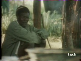 JA2 20H : EMISSION DU 3 FEVRIER 1980