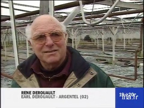 L'après tempête dégâts dans les serres.