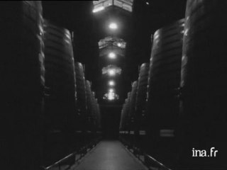 La cave de Thuir, monument le plus visité des Pyrénées Orientales