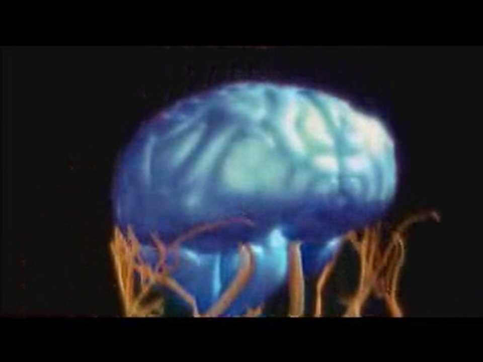 Jouer à s'évanouir, que se passe t-il dans le corps ?