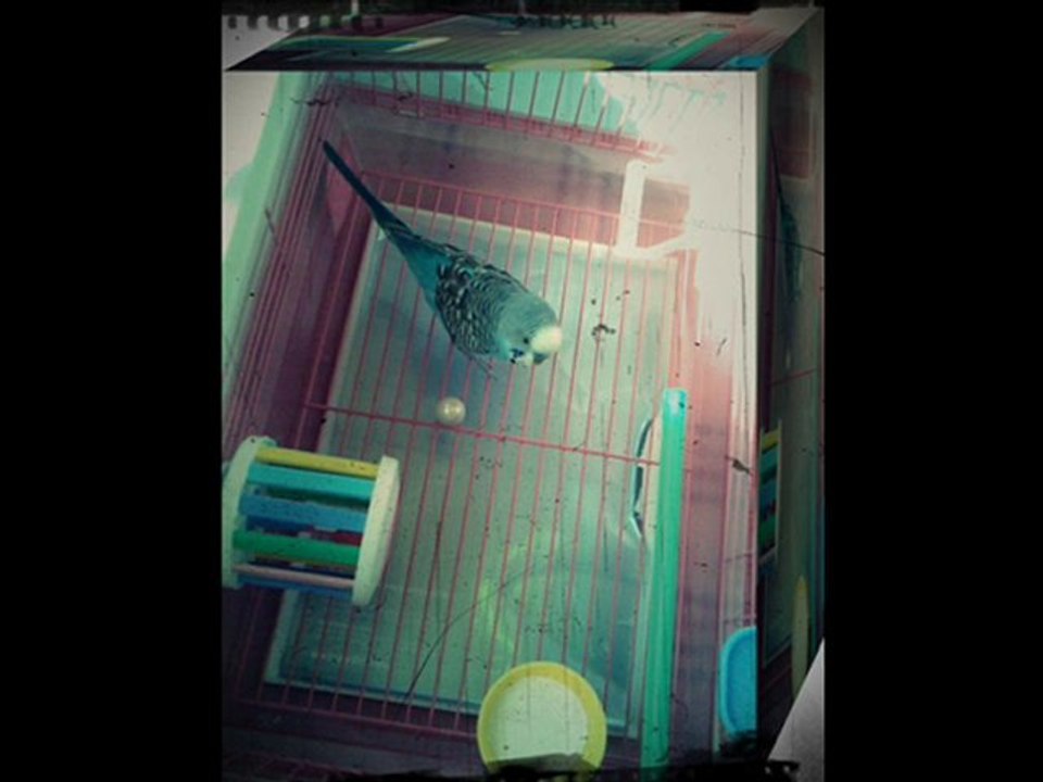 Meleklerin sözü var...