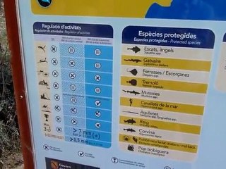 La playa en Cala Mesquida