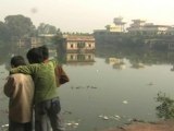 Fish Deaths Worry Environmentalists in Gwalior, India