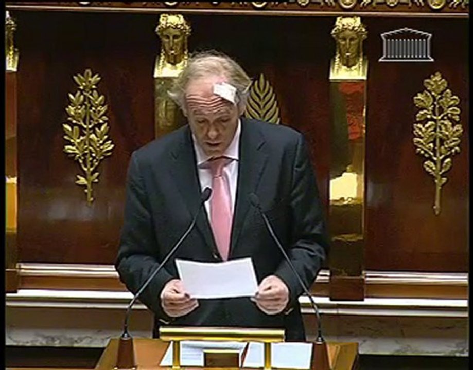 Dominique TIAN - Député des BDR -DG - PLFSS 2011 - 27-10-10