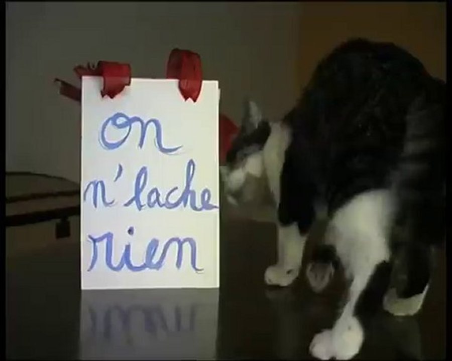 On n'Lache Rien! - Vidéo Dailymotion