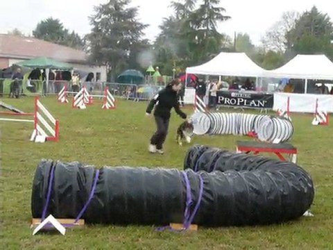 Sweety 2ème degré Ipac81 2010