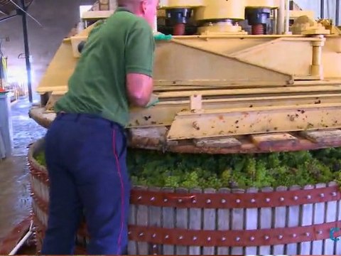 Champagne Vautrelle - Vendanges 2010