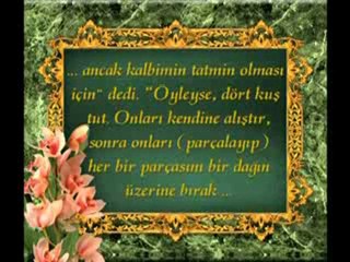 Peygamberlerin gösterdiği mucizeler de evrim olmadığı