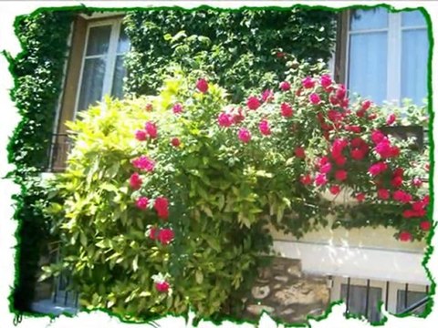 Plaisir pour les yeux et les oreilles