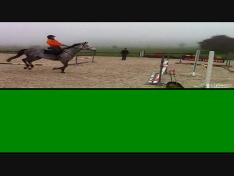 Taluna jument 7ans Holsteiner