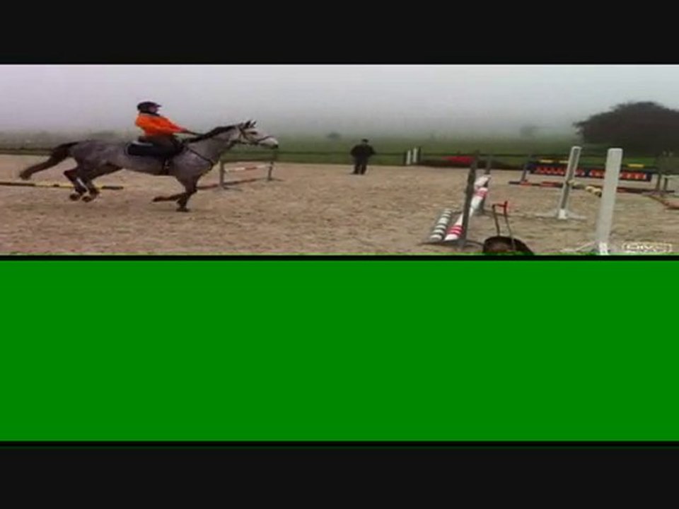 Taluna jument 7ans Holsteiner