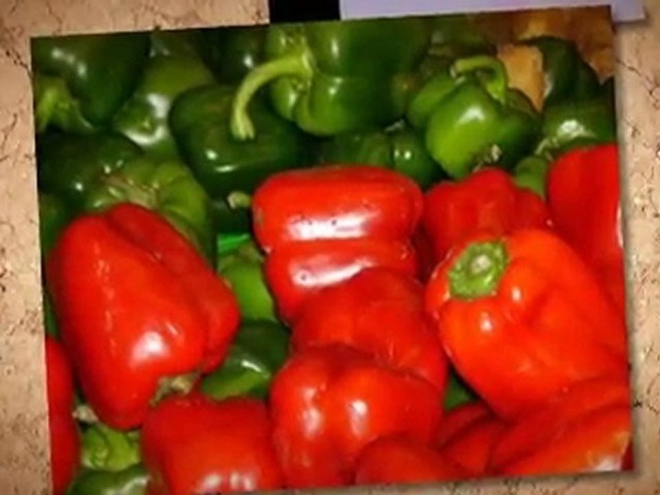 Worm Composting: Begin by Building a Worm Bed