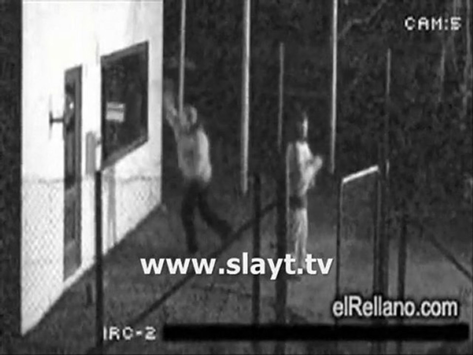 salak hırsızlar - idion thief