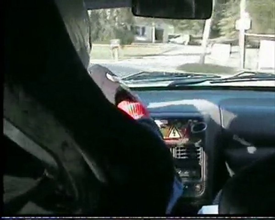 Vosgien 2010 Partie 2