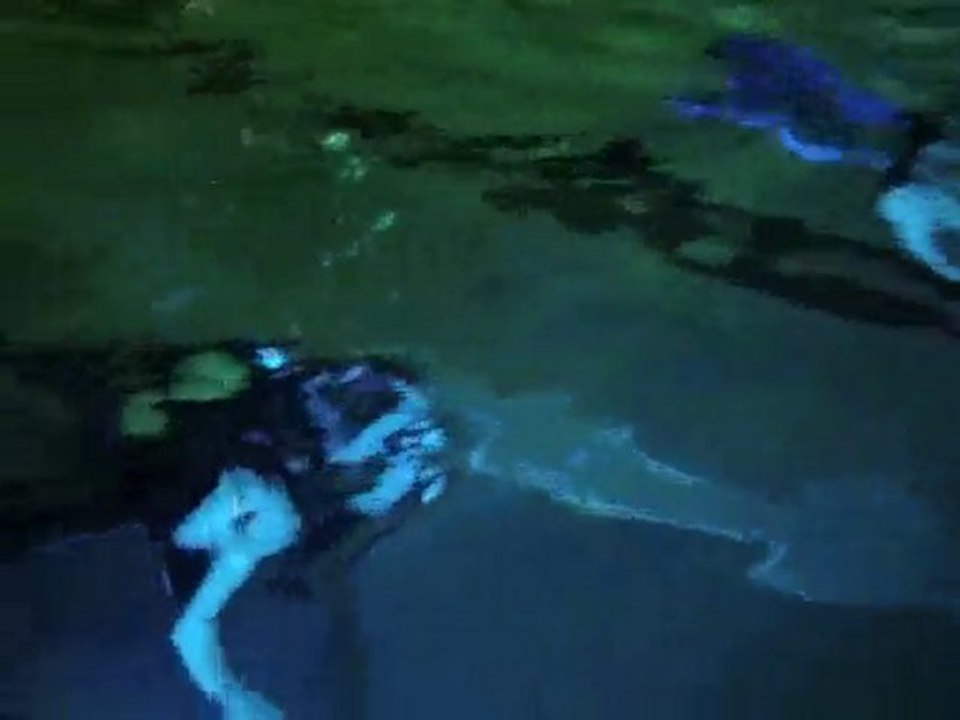 St Léonard (Hors de l'eau)