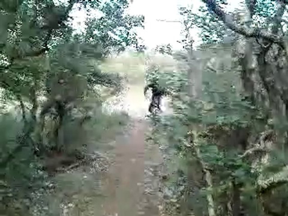 vt descente (road gap du chemin )