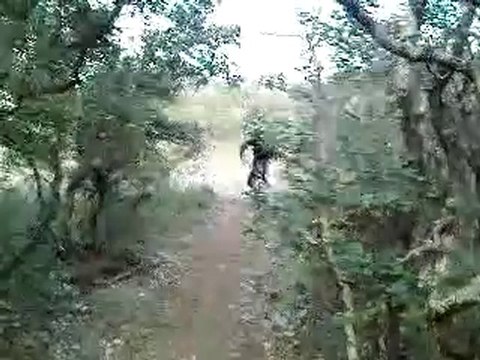 vt descente (road gap du chemin )