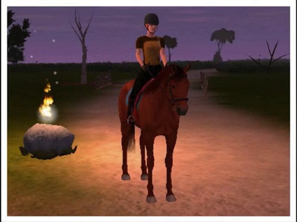 Horse Star Online - Les quatres chevaux du jeu...