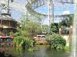 865 Bellevue Apartments