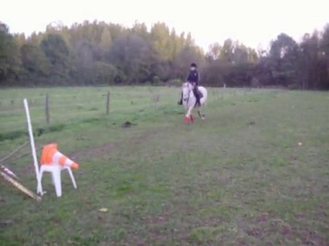 moi et ma jument puissance3