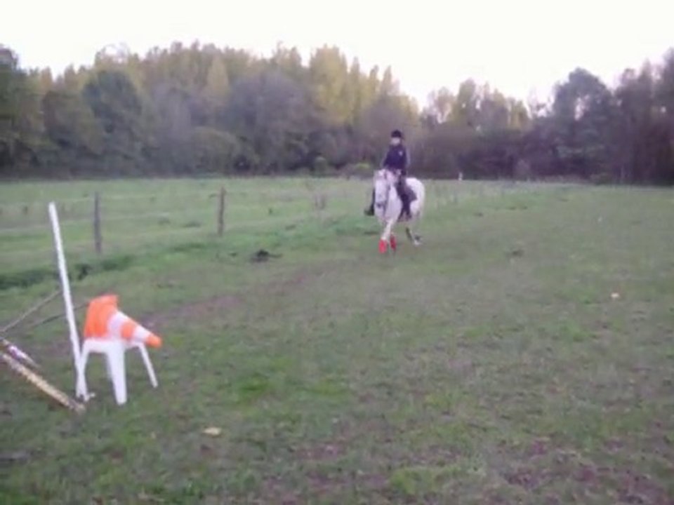 moi et ma jument puissance3