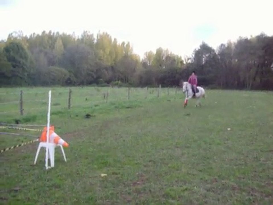 maria qui fai une dérobade