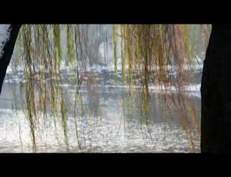 Perth Mint '11 Gold and Silver Bullion Coin Launch