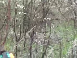 tank bodo diana patrone canli bildrc video turgayttt