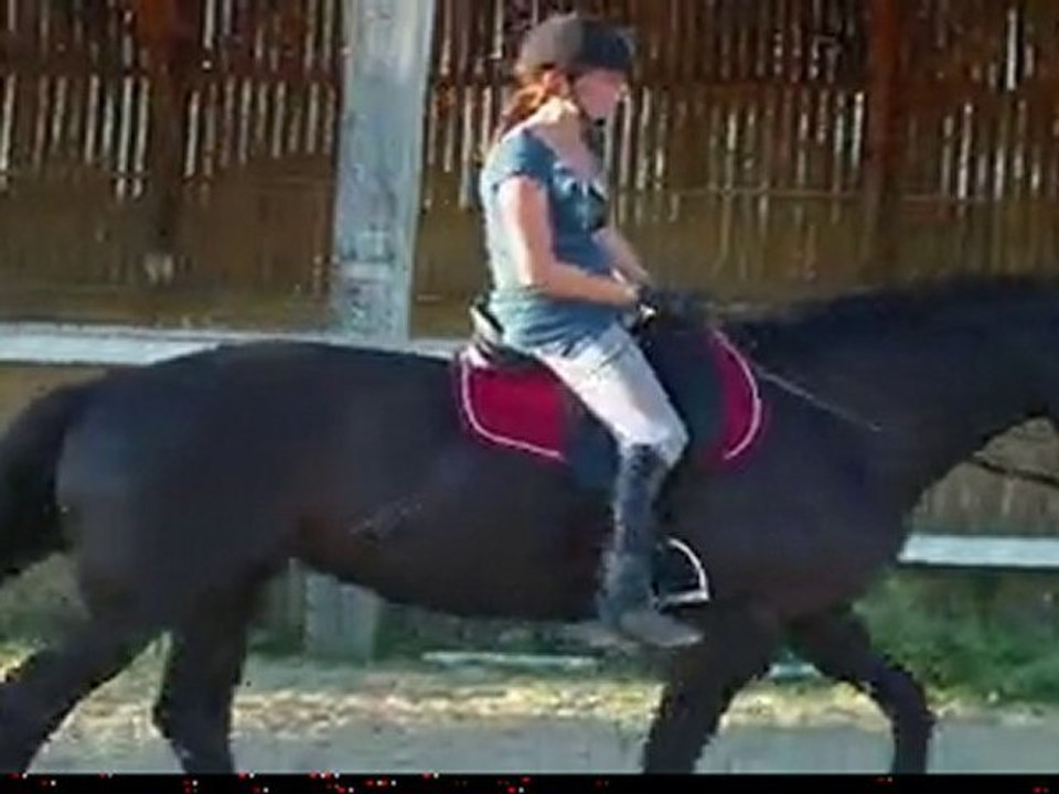 Essai selle Tekna suite