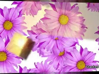 CrackerClips Stock Footage - Show Reel