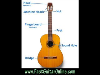 learning bass guitar fast