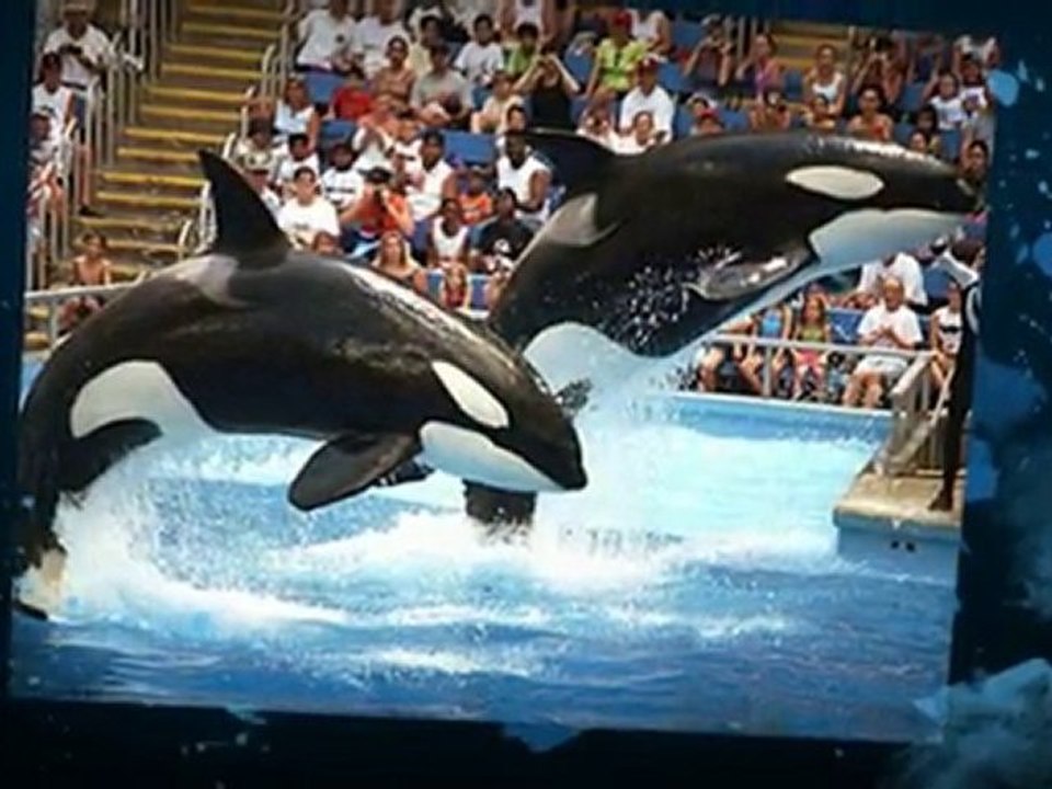 Gold Coast Holidays - Something For Everyone