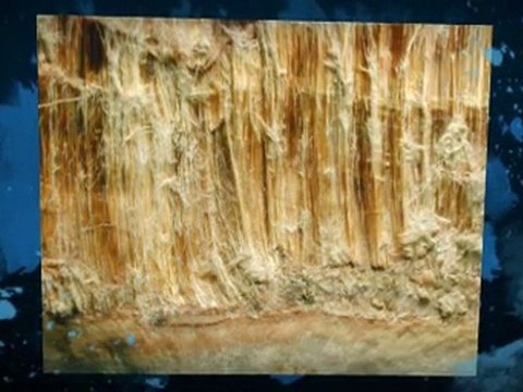 Asbestos Testing Augusta GA