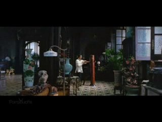 IP MAN - The Art of Wing Chun